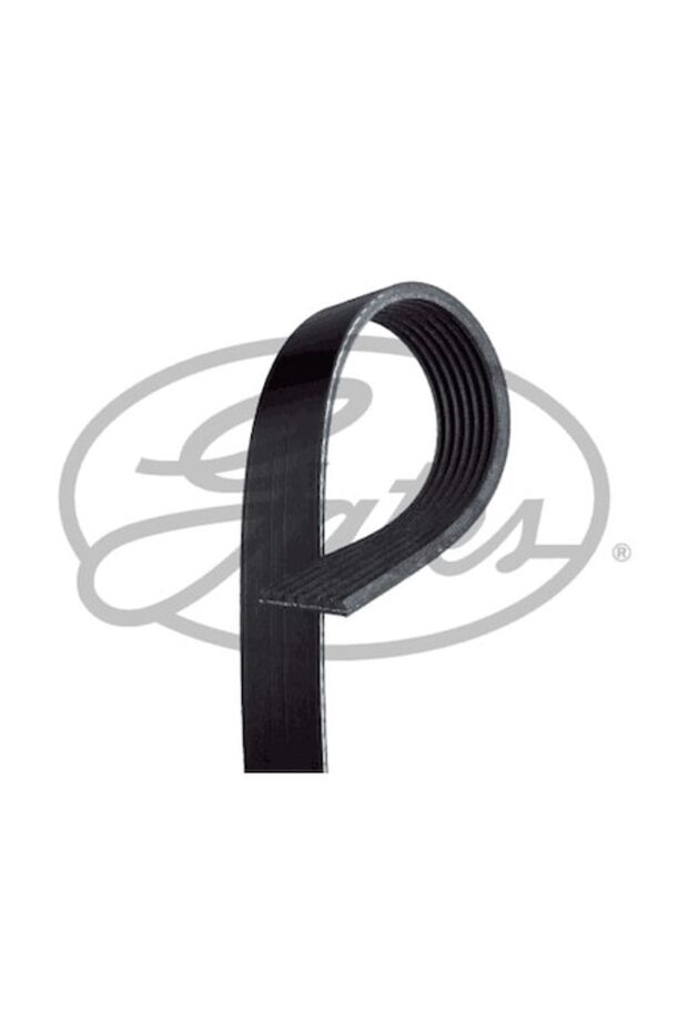 Curea multi-V 7PK2630 - 1