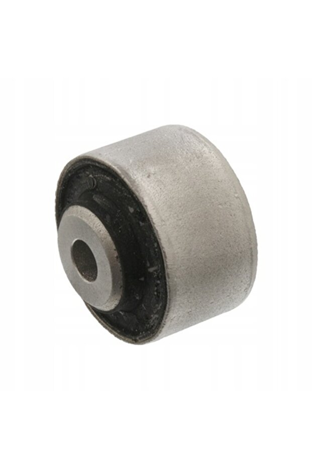 Control Arm Bushing - 1