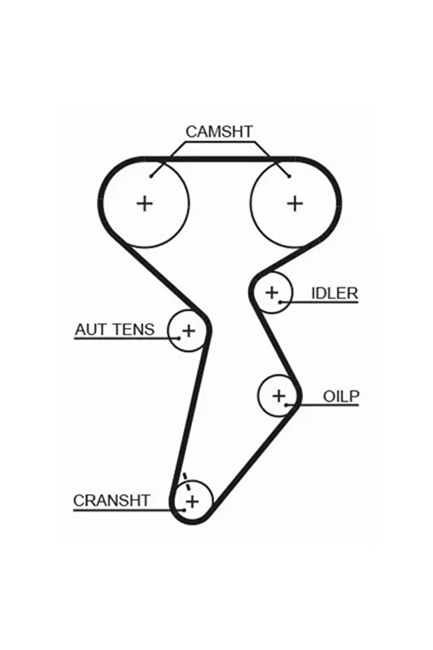 Curea de distribuție - 2