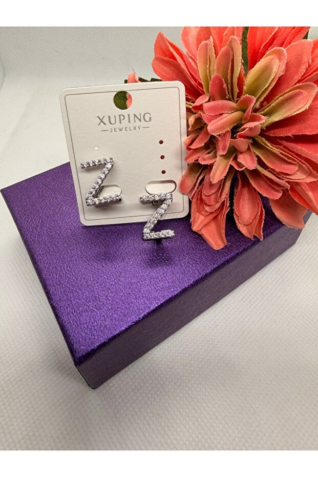 Zircon Stone Silver Color Three-Dimensional Z Letter Steel Earrings
