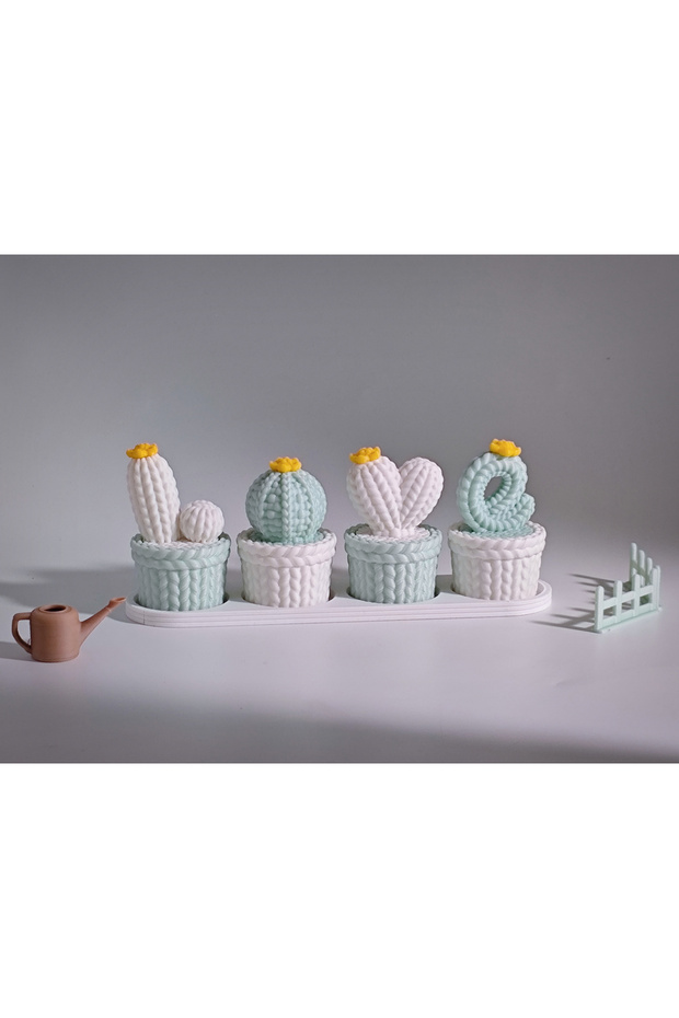 Cactus Love Decor - 1