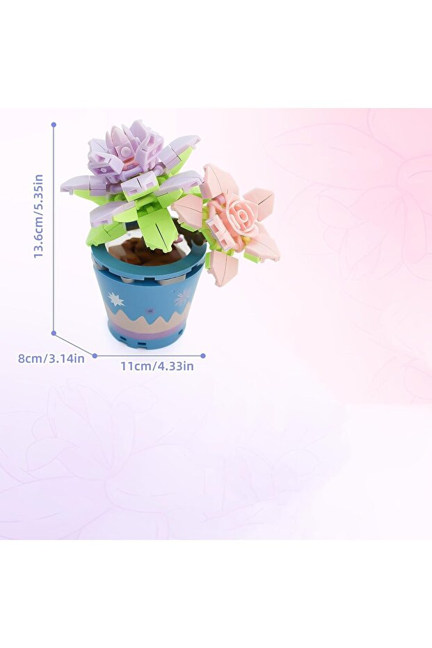 مجموعة زهور عصارية - 6