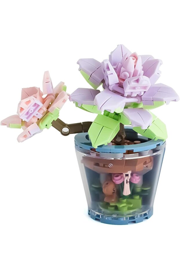 مجموعة زهور عصارية - 1