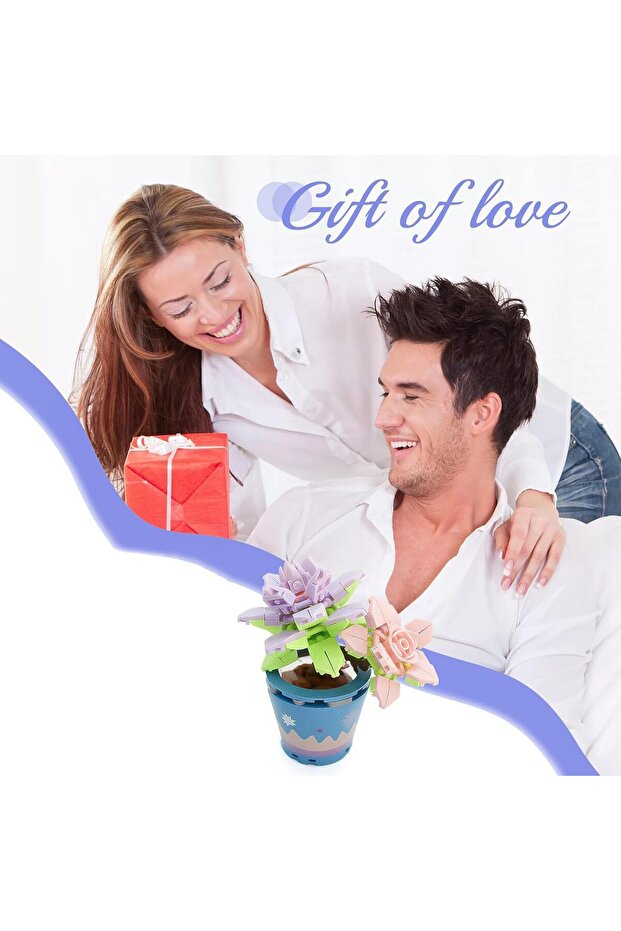 مجموعة زهور عصارية - 5