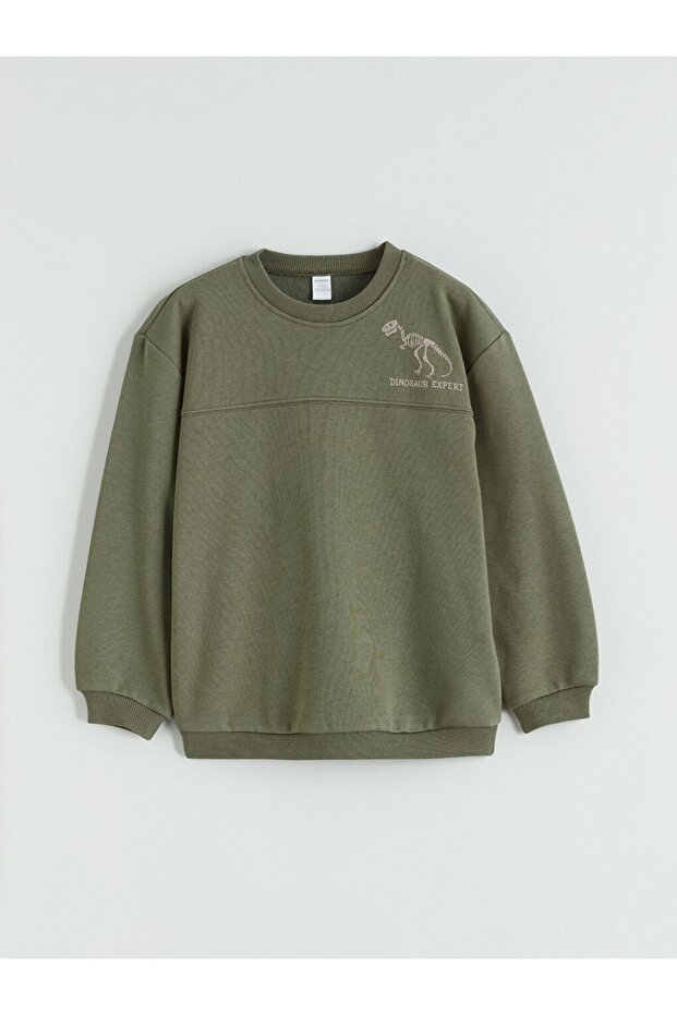 Crew Neck Printed Boy's Thick Sweatshirt