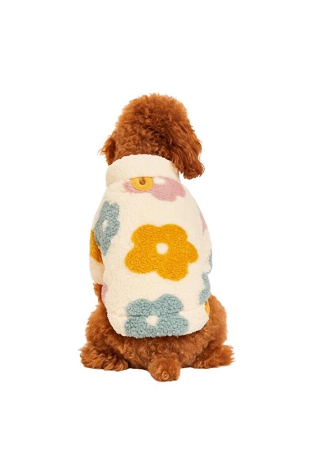 PHOOL - WELSOFT CEKET - 1