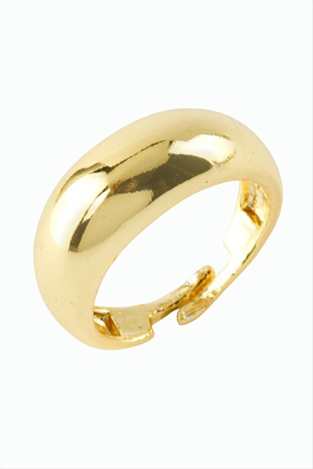 حلقة المفصل البيضاوي - 1