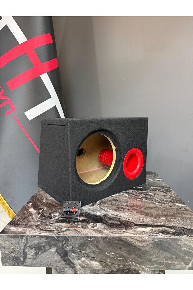 20 cm Bass kabini - 2