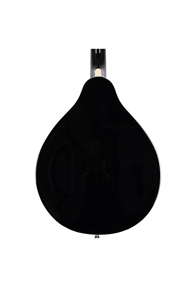 KMA-002-RDS Mandolin - 4