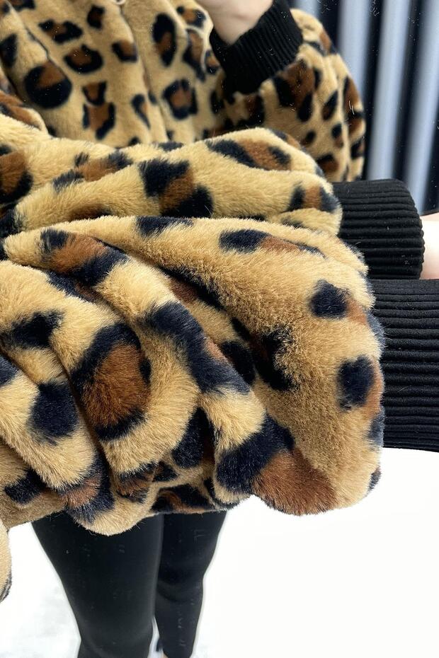 معطف من القطيفة منقوش - ليوبارد LEOPAR - 5