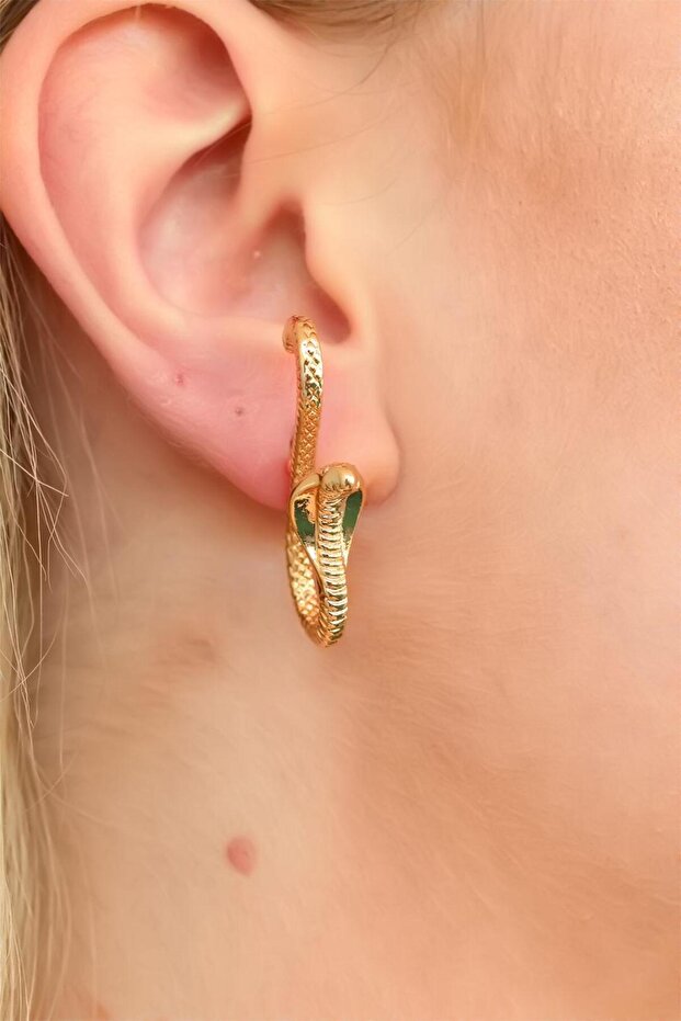 الأقراط تصميم الأفعى - 2