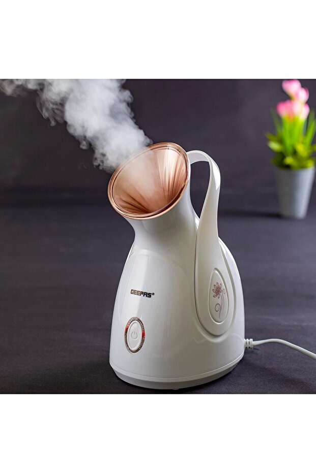 جهاز تبخير الوجه - 6