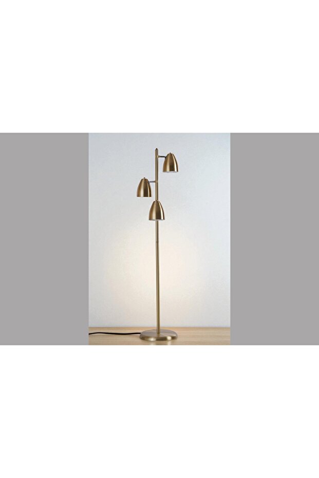 FRANK LAMBADER, ESKİTME - 6