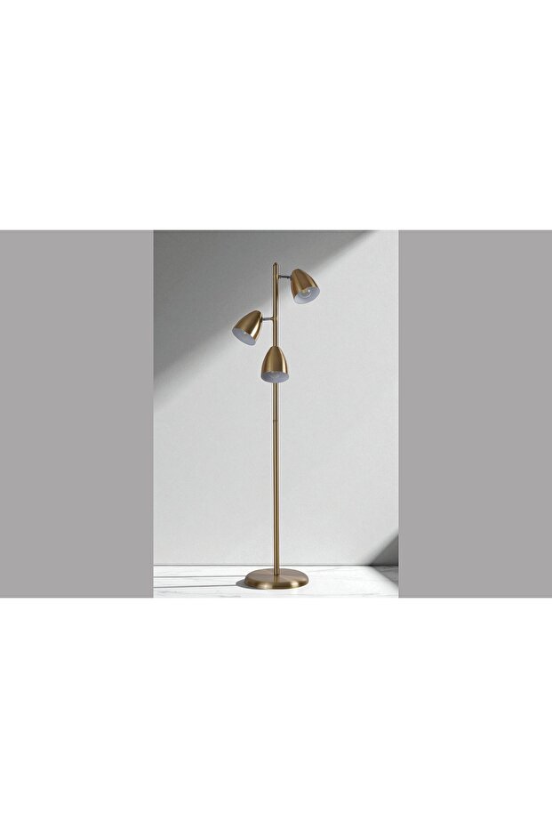 FRANK LAMBADER, ESKİTME - 5