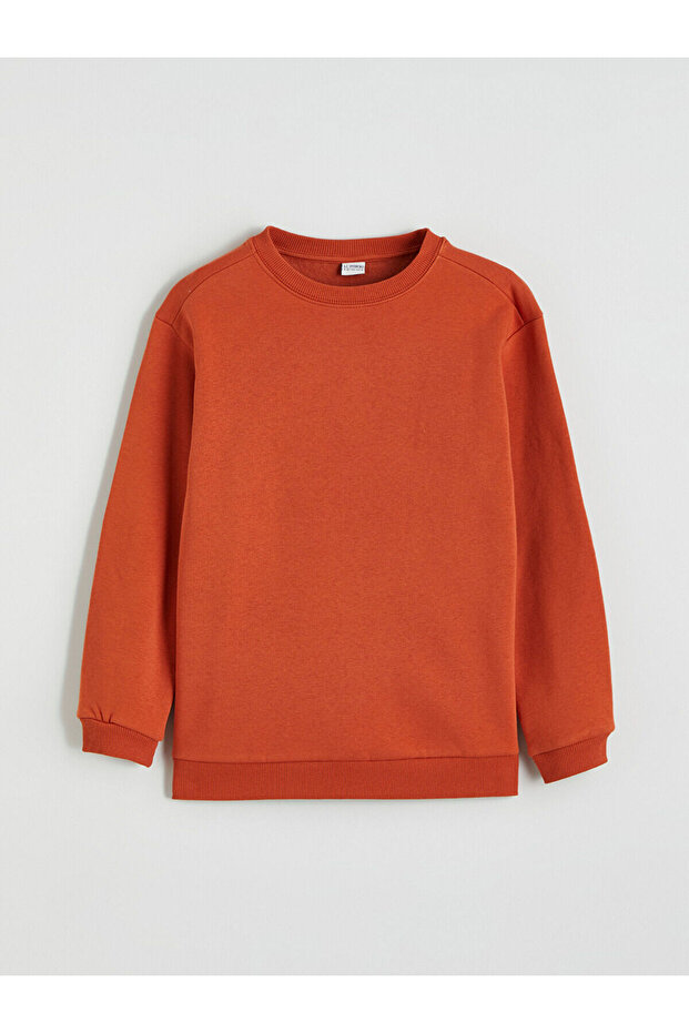 Lcw Kids Brown Crew Neck Boys' Thick Sweatshirt W5Nu08Z4