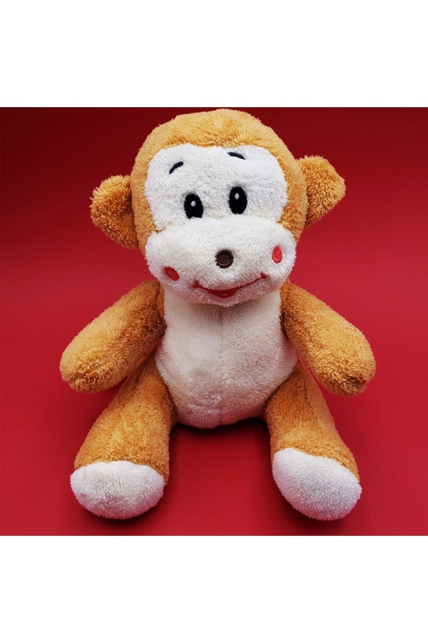 Toy Monkey