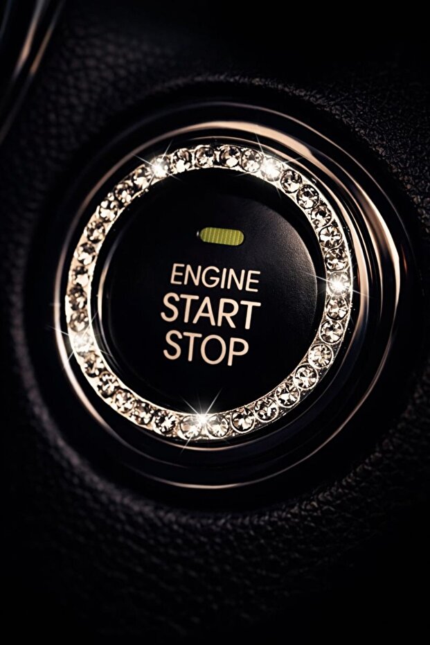 Stone-Encased Start Stop Button Frame Stone-Encased Start Stop Frame