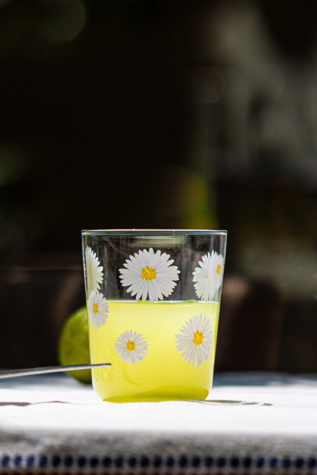 Fiona 4'lü Su Bardağı Seti 315 cc - 3