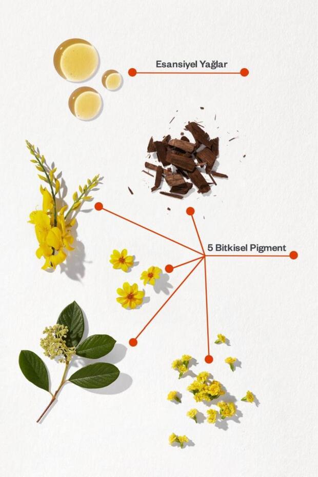 Phytocolor Bitkisel Saç Boyası ''1 Siyah'' - 7