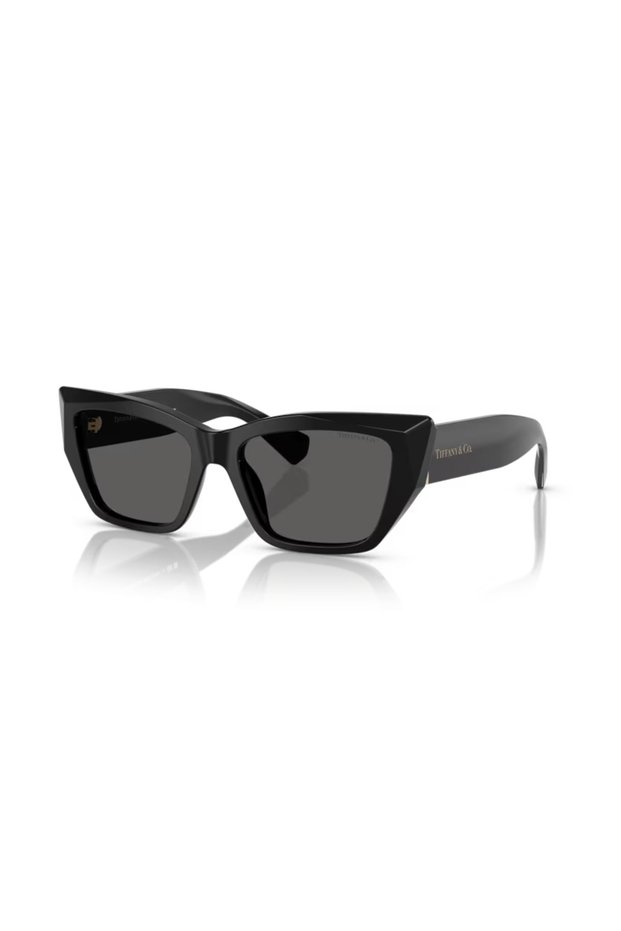 &Co. Tf 4230 8001S4 54 Women's Sunglasses