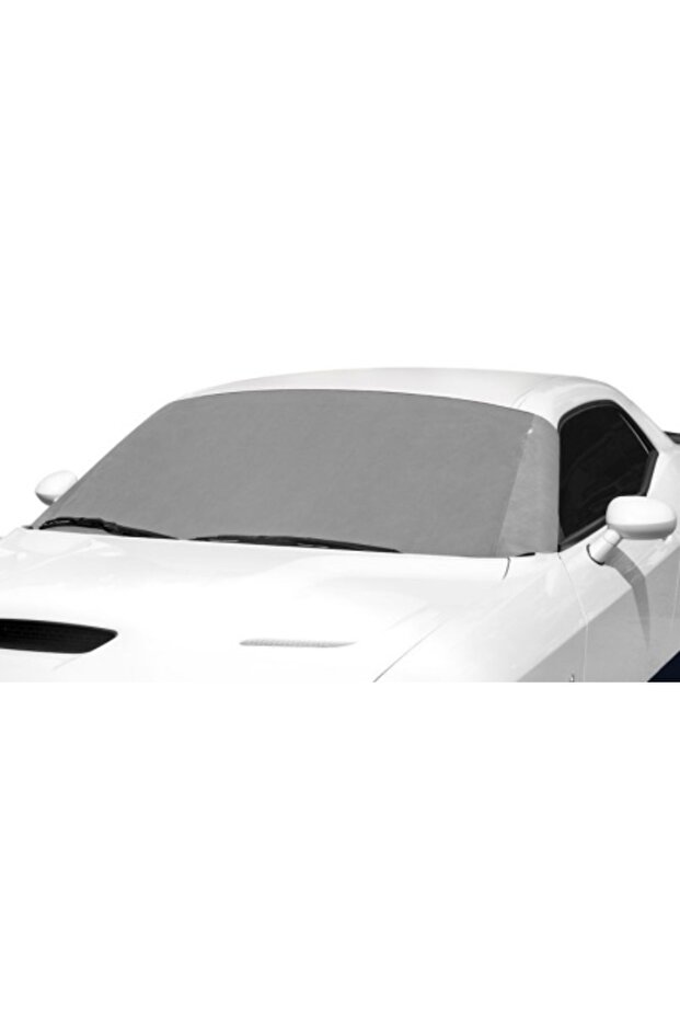 Winter Windshield Cover - 1