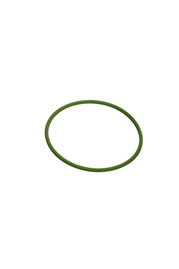 Injection Pump Ring - 1