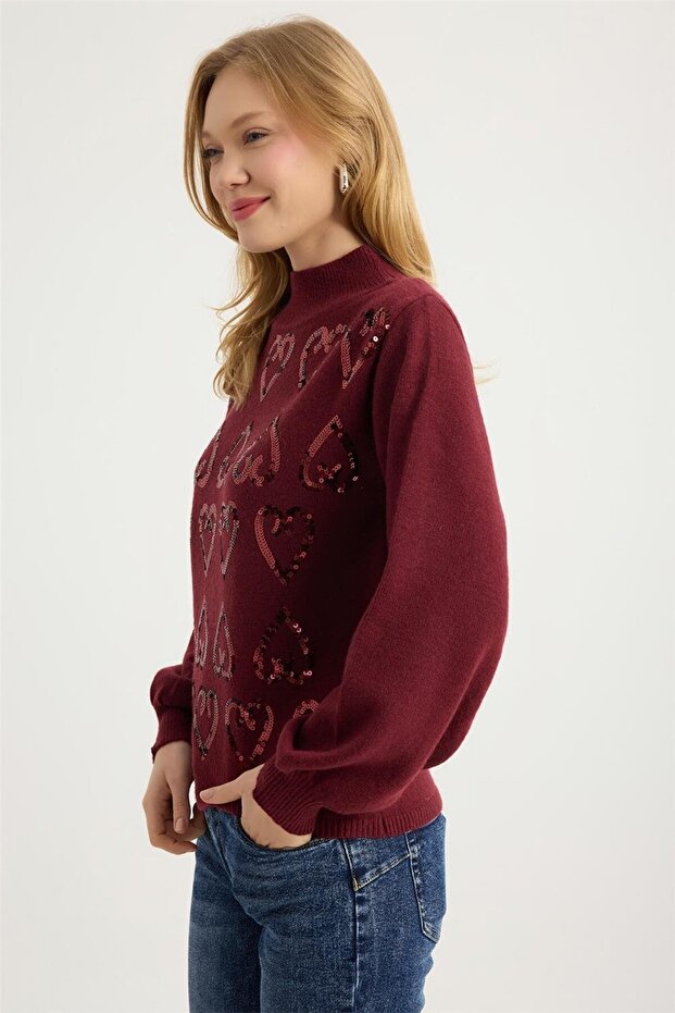 Dik Yaka Payetli Triko - 2