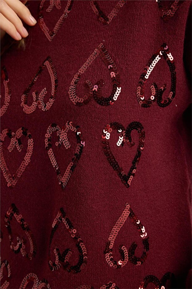 Dik Yaka Payetli Triko - 4