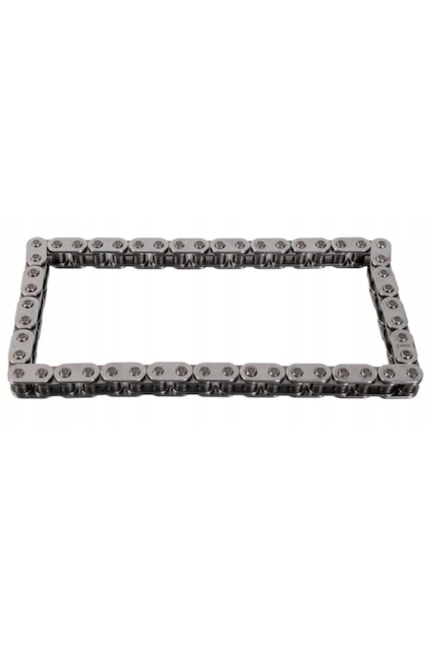 25360 Timing Chain - 1