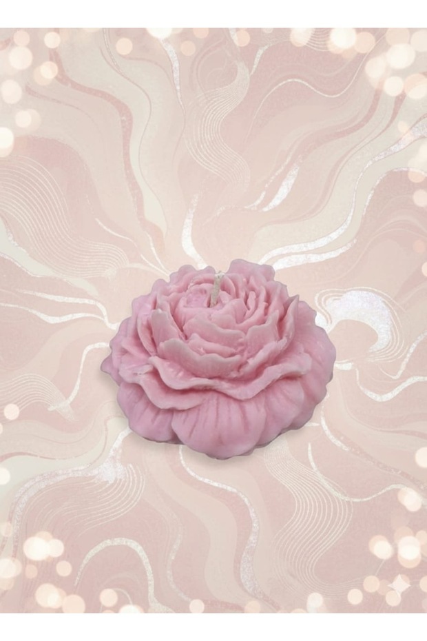 Soya mıknatıslı - 4