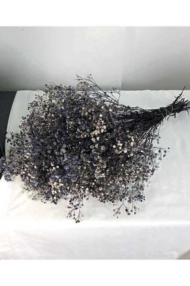 Cipso Çiçeği Şoklanmış Mor - 1