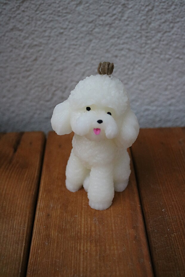 Sevimli Köpek Mum - 1