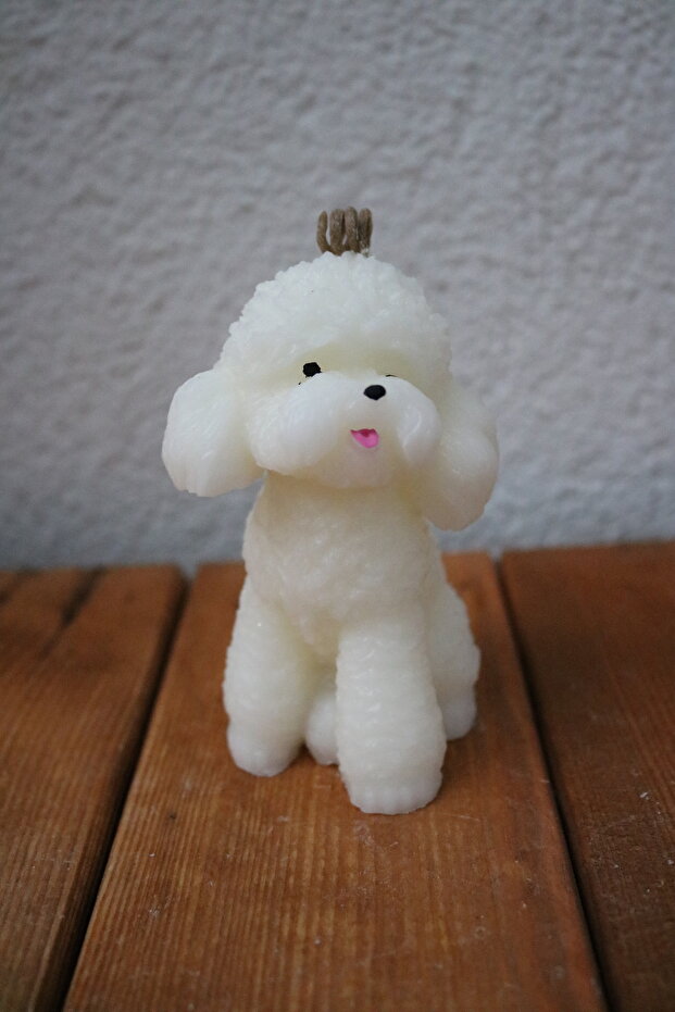 Sevimli Köpek Mum - 3