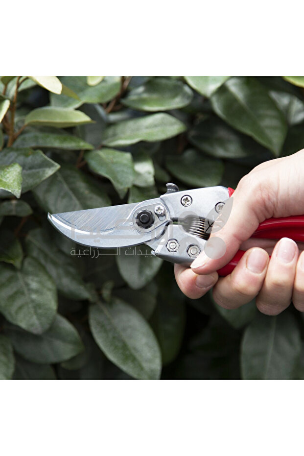 Hand Pruning Shears Model VS-8XZ - 2