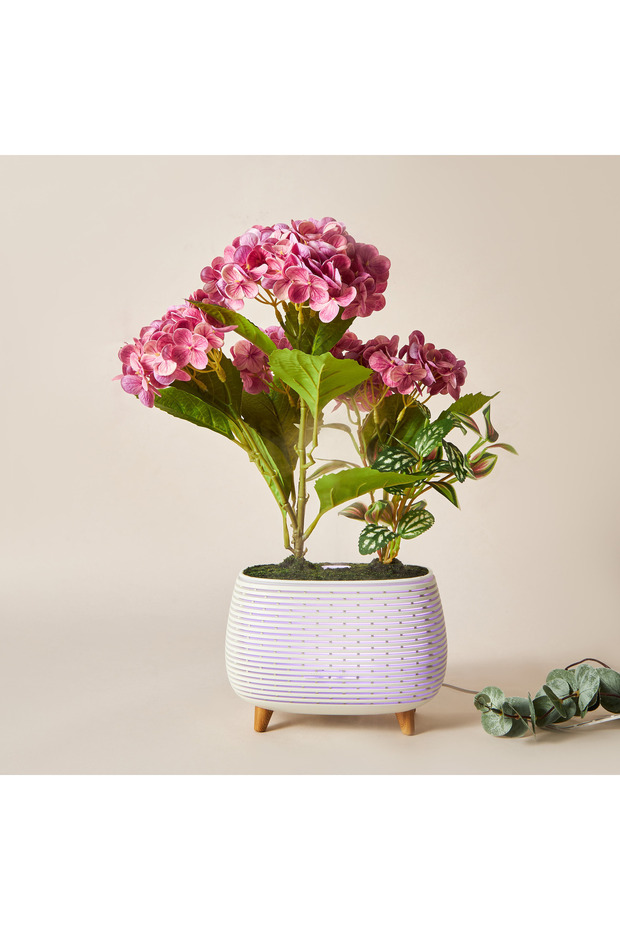 موزع روائح نباتية من هيدريسا - 1