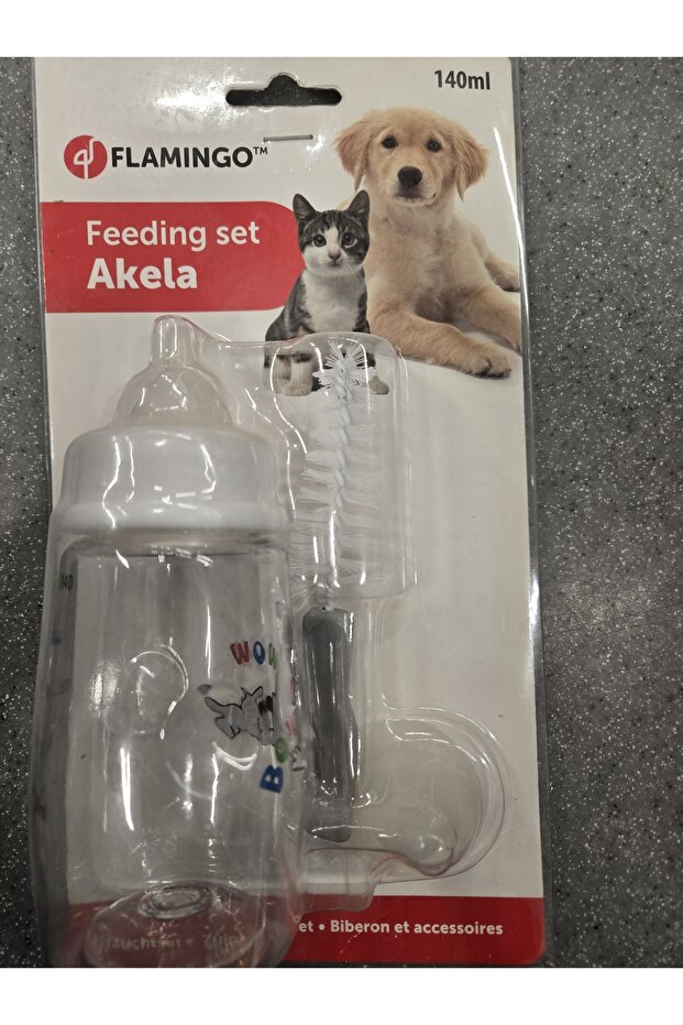 Cat feeding - 1
