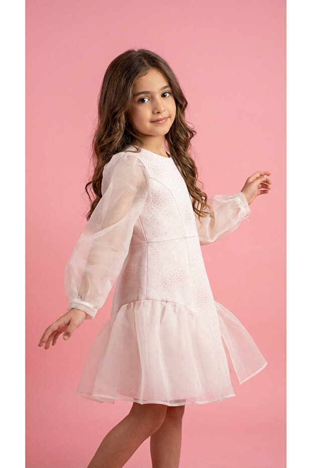 Long Sleeve Girls' Special Occasion Dress