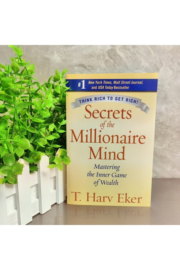 1pcs Bview Art Millionaire Mind Secrets: Master Wealth Mindset by T. Harv Eker | Finance Book