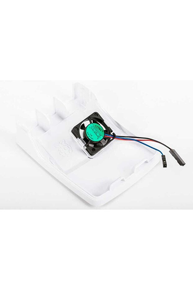 4 Orijinal Kutu Fanı - 2