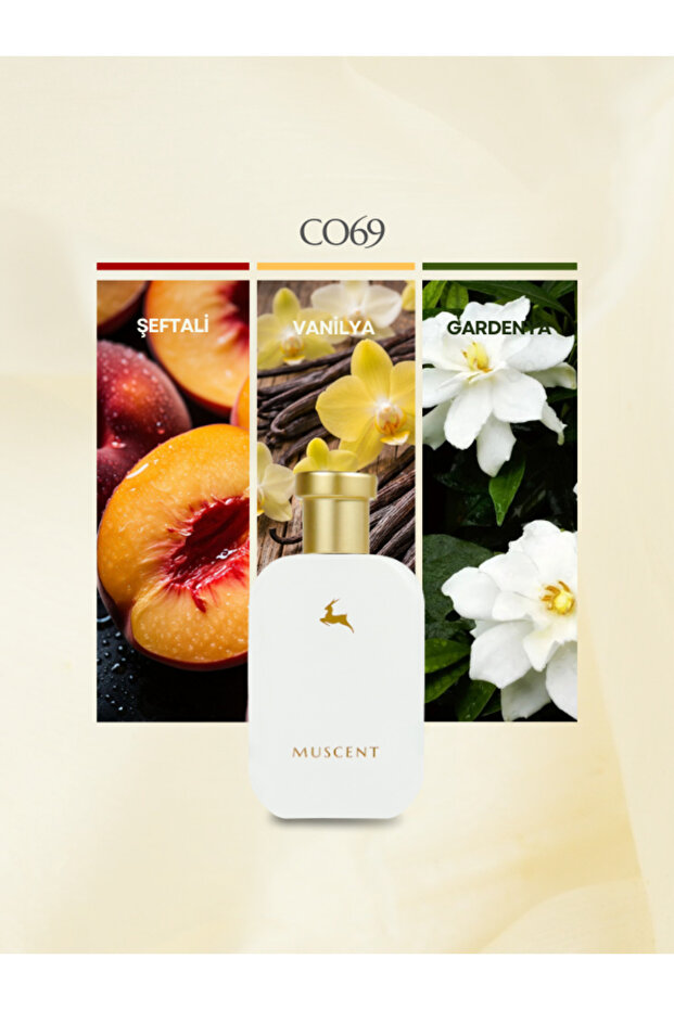 C069 100 Silent Way 50 ml. - 1