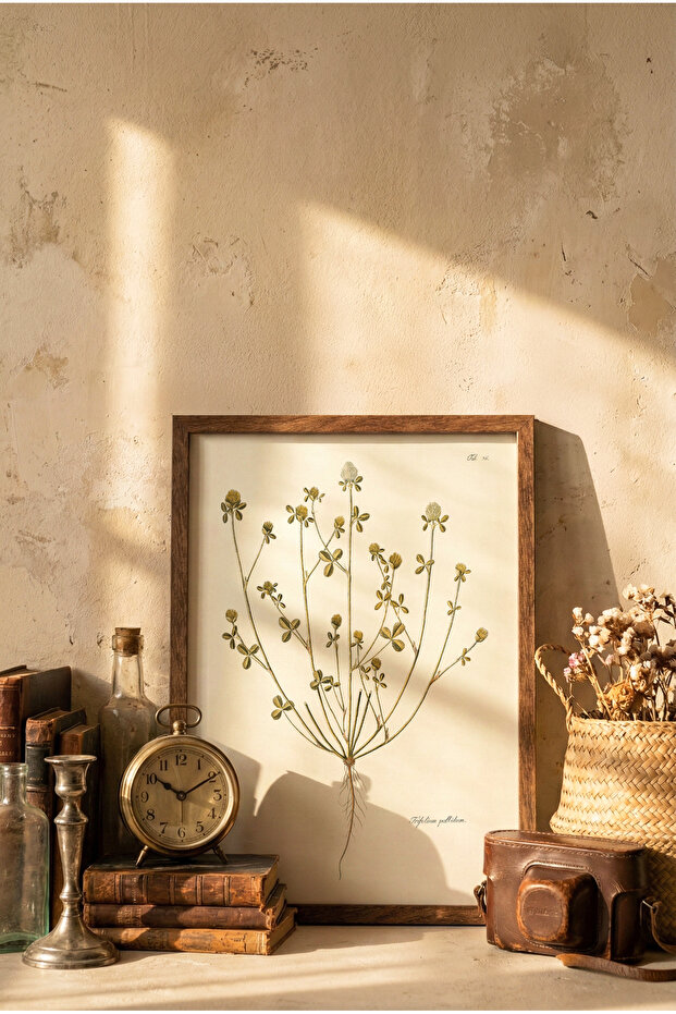 Trifolium Pallidum - إطار خشبي منقوش