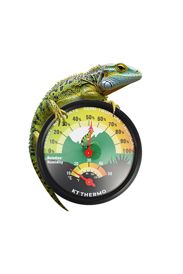 1pc 1-4pc Lizards Reptile Thermometer & Hygrometer with Suction Cup & Tape, NO-Battery, Terrarium Th