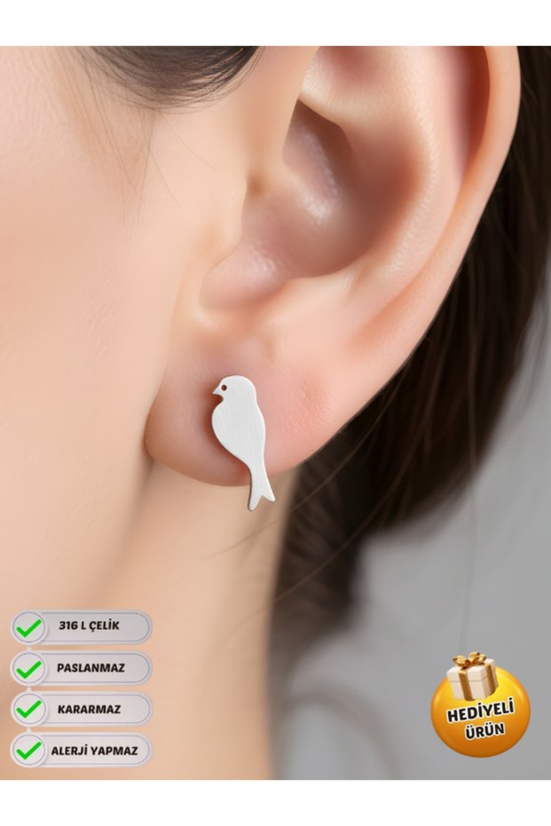 1 Pair of No Fade, Tarnish & Gift Earrings with Steel Studs