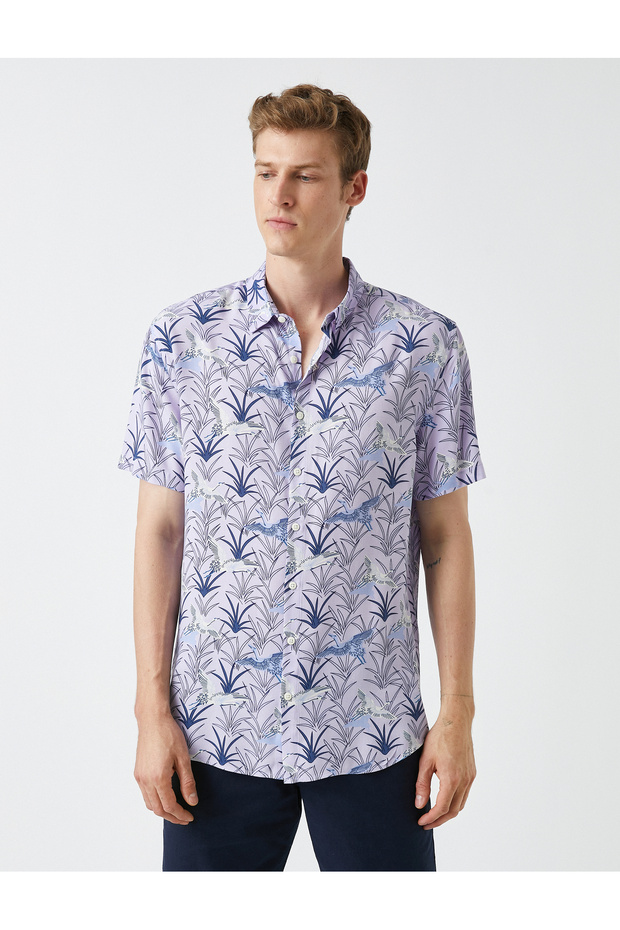 Shirt - 3