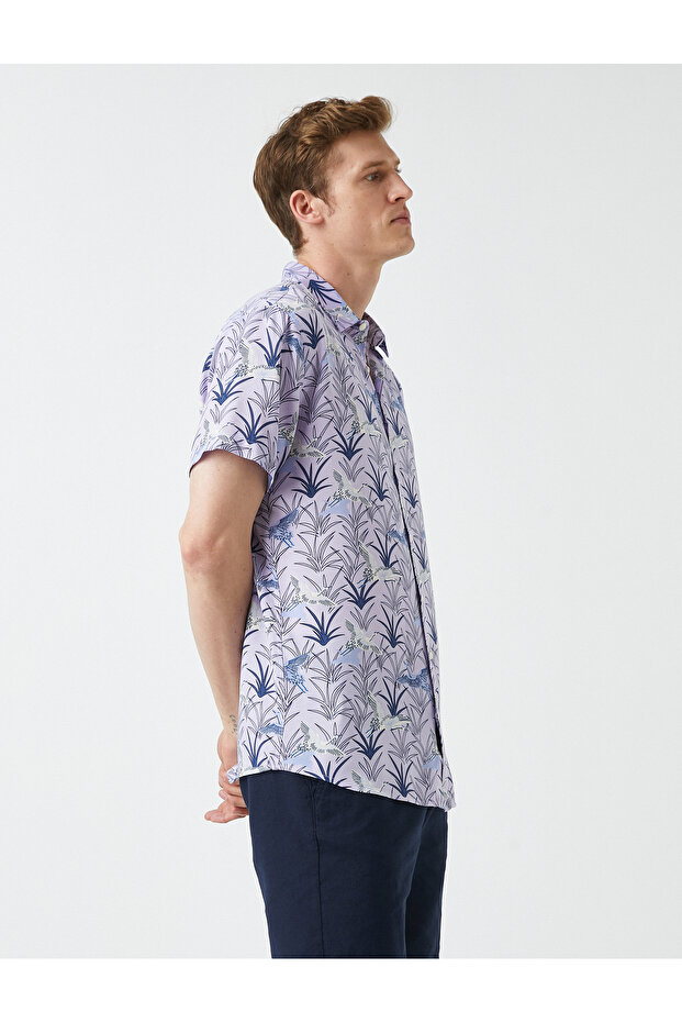 Shirt - 2