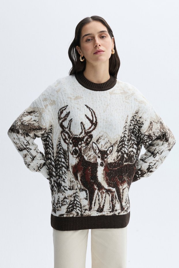 Women's Ecru Loose Fit Jacquard Crew Neck Sweater