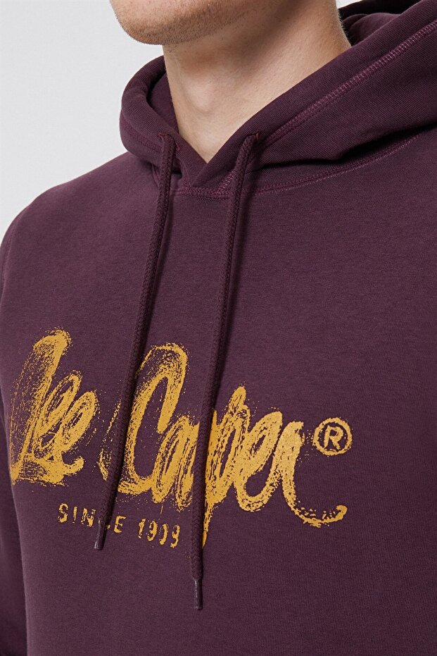 Gregory Erkek Kapüşonlu Sweatshirt Mürdüm - 5