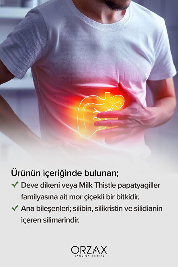 Milk Thistle 30 Tablet 300mg Silbin - 4