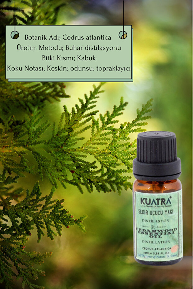 Sedir Uçucu Yağı - 2