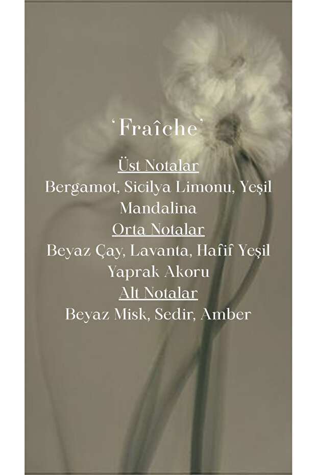 Fraiche Erkek Parfümü - 4